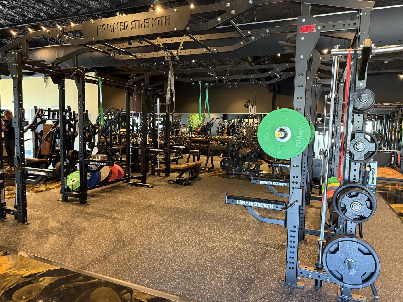 Free Weights